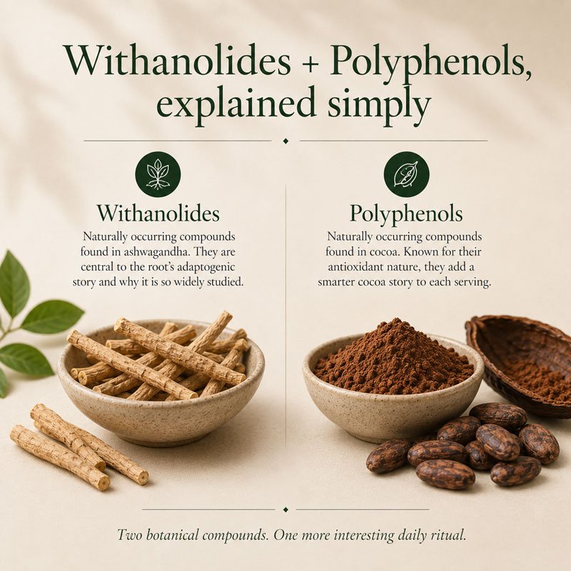 THEIA Ashwagandha Cocoa Blend - Image 6